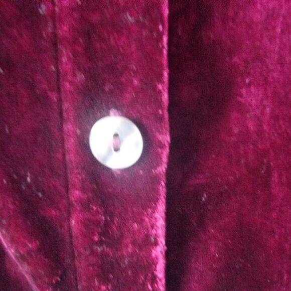 Habitat womens Velvet Button Down Shirt sz M long sleeve whimsical fairy grunge - Picture 5 of 8